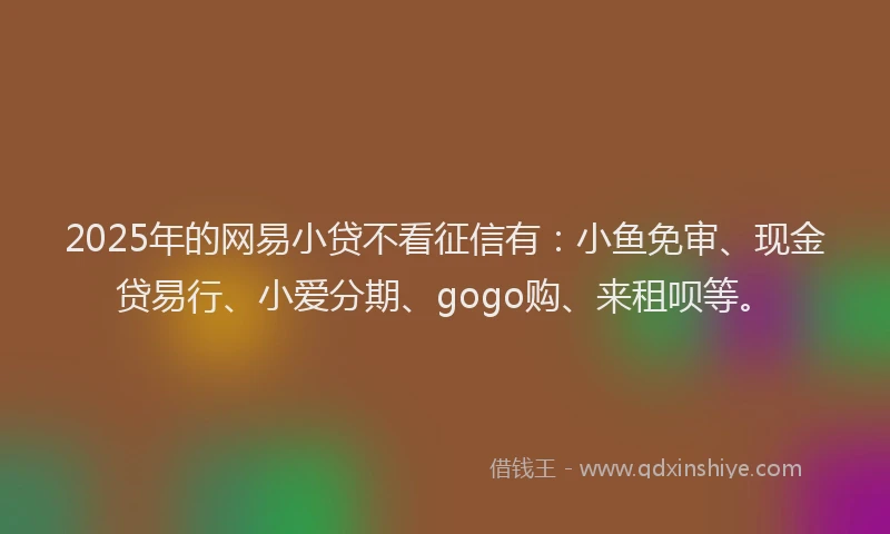 2025年的网易小贷不看征信有：小鱼免审、现金贷易行、小爱分期、gogo购、来租呗等。