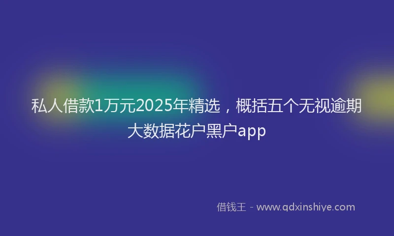 私人借款1万元2025年精选，概括五个无视逾期大数据花户黑户app