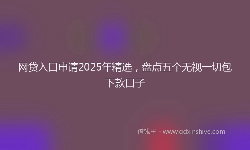 网贷入口申请2025年精选，盘点五个无视一切包下款口子