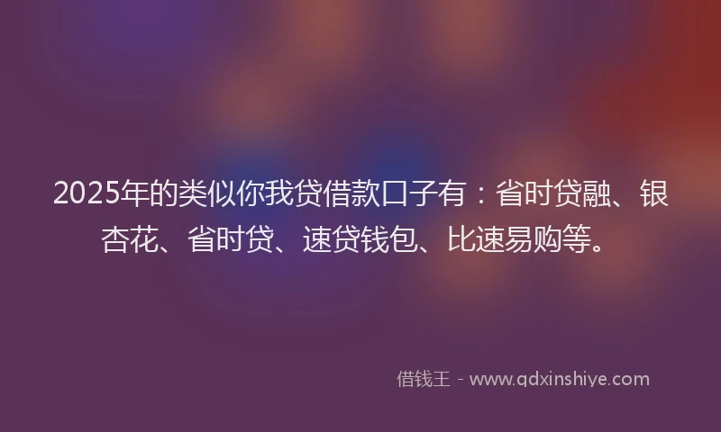 2025年的类似你我贷借款口子有：省时贷融、银杏花、省时贷、速贷钱包、比速易购等。