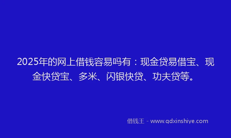 2025年的网上借钱容易吗有：现金贷易借宝、现金快贷宝、多米、闪银快贷、功夫贷等。