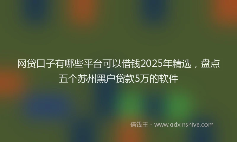 网贷口子有哪些平台可以借钱2025年精选，盘点五个苏州黑户贷款5万的软件