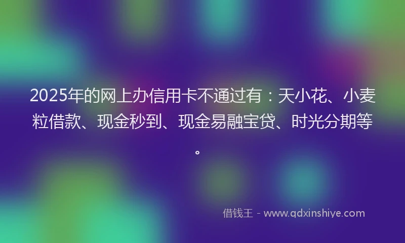 2025年的网上办信用卡不通过有：天小花、小麦粒借款、现金秒到、现金易融宝贷、时光分期等。
