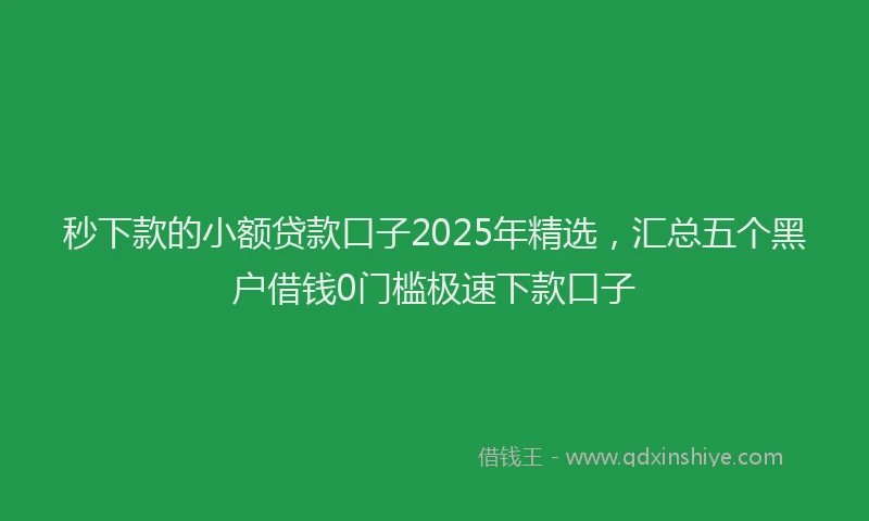 秒下款的小额贷款口子2025年精选，汇总五个黑户借钱0门槛极速下款口子