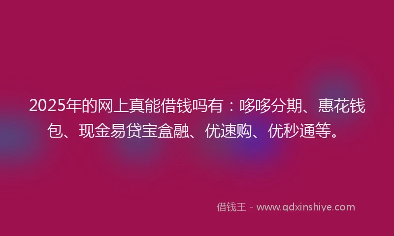2025年的网上真能借钱吗有：哆哆分期、惠花钱包、现金易贷宝盒融、优速购、优秒通等。
