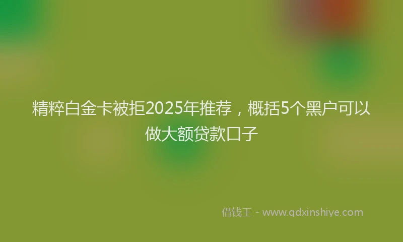 精粹白金卡被拒2025年推荐，概括5个黑户可以做大额贷款口子