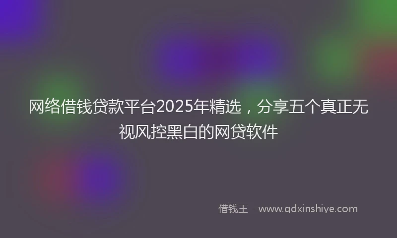网络借钱贷款平台2025年精选，分享五个真正无视风控黑白的网贷软件