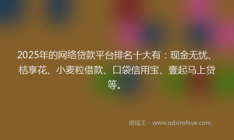 2025年的网络贷款平台排名十大有：现金无忧、桔享花、小麦粒借款、口袋信用宝、壹起马上贷等。