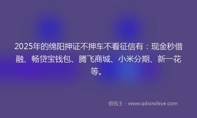 2025年的绵阳押证不押车不看征信有：现金秒借融、畅贷宝钱包、腾飞商城、小米分期、新一花等。