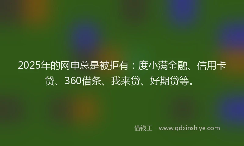 2025年的网申总是被拒有：度小满金融、信用卡贷、360借条、我来贷、好期贷等。