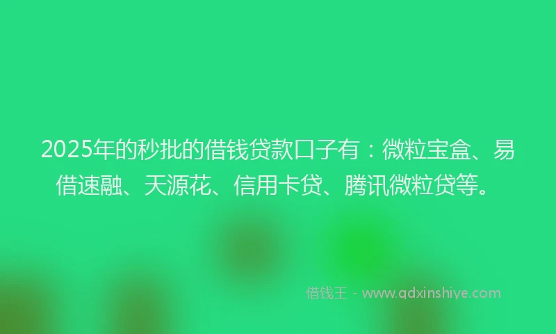 2025年的秒批的借钱贷款口子有：微粒宝盒、易借速融、天源花、信用卡贷、腾讯微粒贷等。