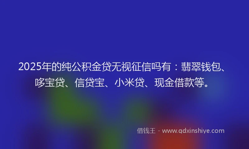 2025年的纯公积金贷无视征信吗有：翡翠钱包、哆宝贷、信贷宝、小米贷、现金借款等。