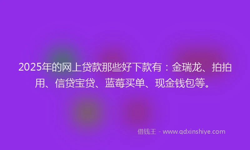 2025年的网上贷款那些好下款有：金瑞龙、拍拍用、信贷宝贷、蓝莓买单、现金钱包等。