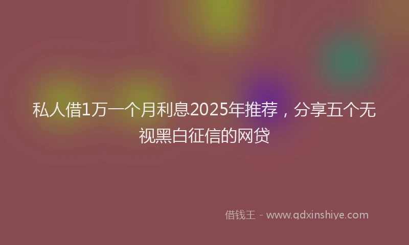 私人借1万一个月利息2025年推荐，分享五个无视黑白征信的网贷