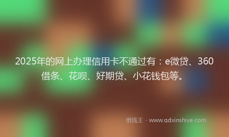 2025年的网上办理信用卡不通过有：e微贷、360借条、花呗、好期贷、小花钱包等。