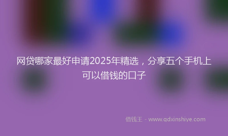 网贷哪家最好申请2025年精选，分享五个手机上可以借钱的口子
