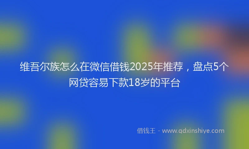 维吾尔族怎么在微信借钱2025年推荐，盘点5个网贷容易下款18岁的平台