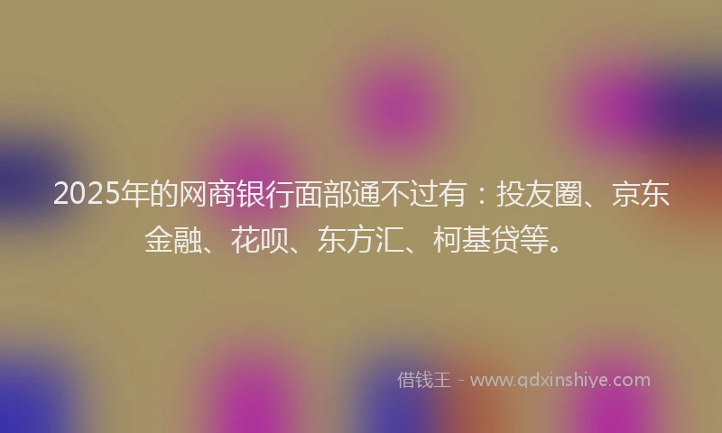 2025年的网商银行面部通不过有：投友圈、京东金融、花呗、东方汇、柯基贷等。