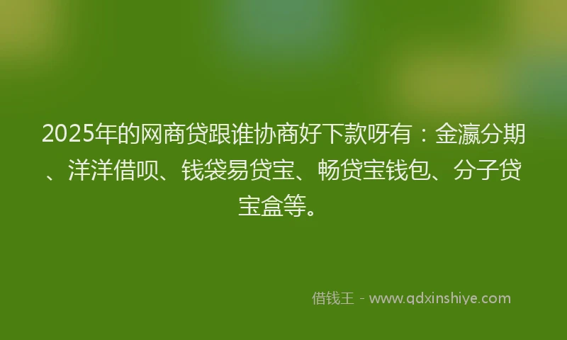 2025年的网商贷跟谁协商好下款呀有：金瀛分期、洋洋借呗、钱袋易贷宝、畅贷宝钱包、分子贷宝盒等。