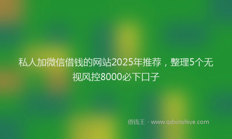 私人加微信借钱的网站2025年推荐，整理5个无视风控8000必下口子