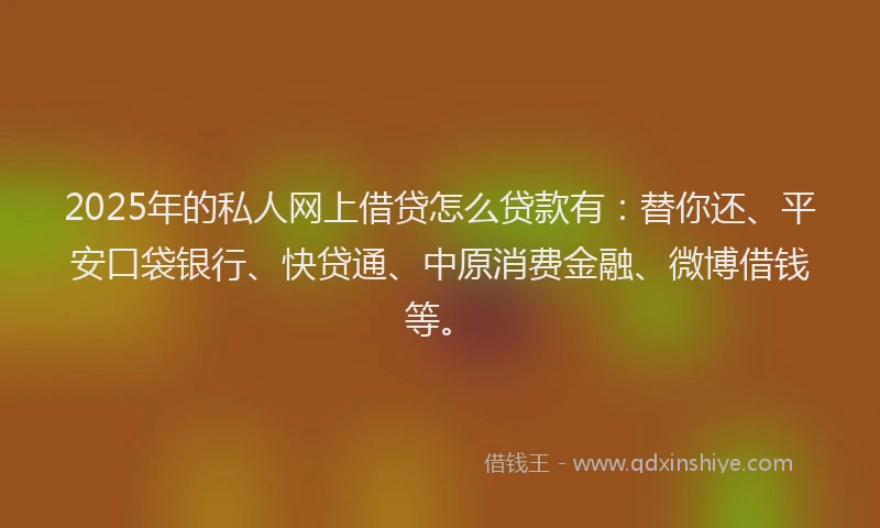 2025年的私人网上借贷怎么贷款有：替你还、平安口袋银行、快贷通、中原消费金融、微博借钱等。