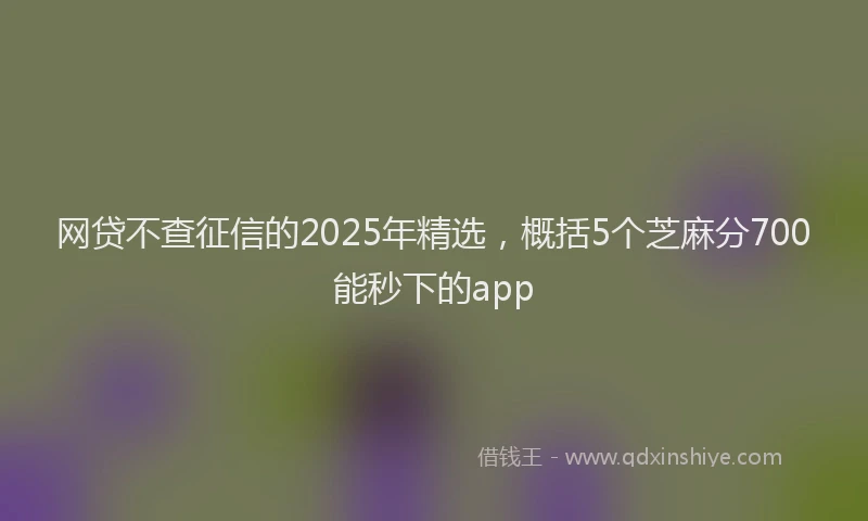 网贷不查征信的2025年精选，概括5个芝麻分700能秒下的app