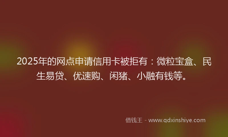 2025年的网点申请信用卡被拒有：微粒宝盒、民生易贷、优速购、闲猪、小融有钱等。