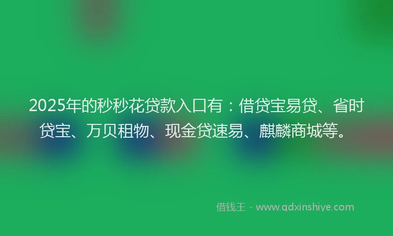 2025年的秒秒花贷款入口有：借贷宝易贷、省时贷宝、万贝租物、现金贷速易、麒麟商城等。