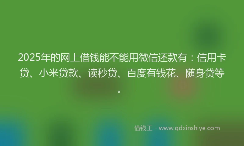 2025年的网上借钱能不能用微信还款有：信用卡贷、小米贷款、读秒贷、百度有钱花、随身贷等。