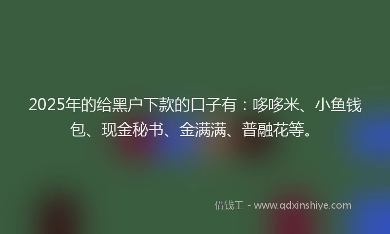 2025年的给黑户下款的口子有：哆哆米、小鱼钱包、现金秘书、金满满、普融花等。