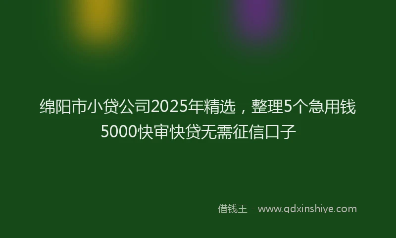 绵阳市小贷公司2025年精选，整理5个急用钱5000快审快贷无需征信口子