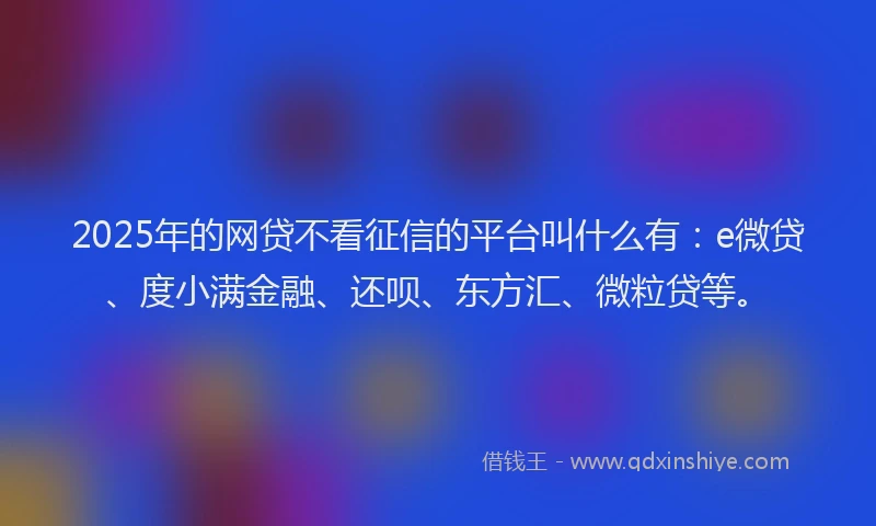 2025年的网贷不看征信的平台叫什么有：e微贷、度小满金融、还呗、东方汇、微粒贷等。