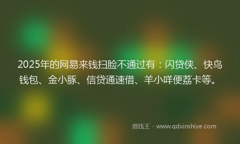 2025年的网易来钱扫脸不通过有:闪贷侠、快鸟钱包、金小豚、信贷通速借、羊小咩便荔卡等。