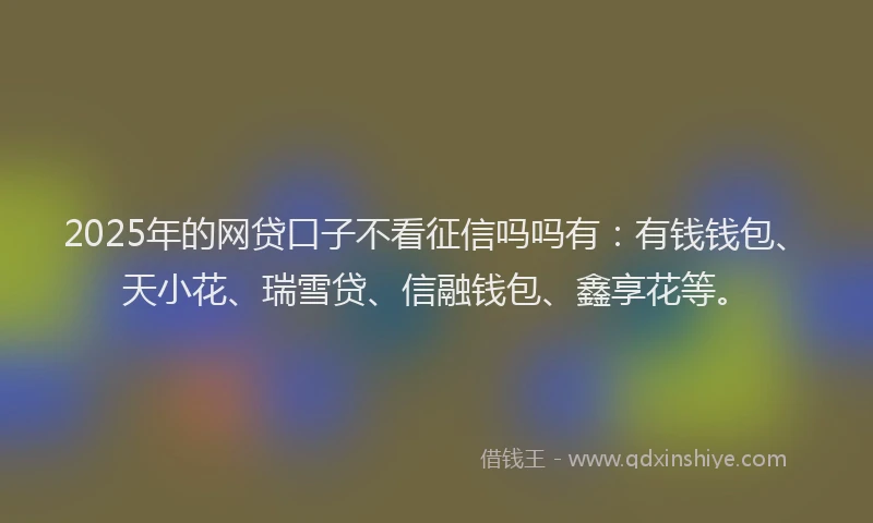 2025年的网贷口子不看征信吗吗有：有钱钱包、天小花、瑞雪贷、信融钱包、鑫享花等。