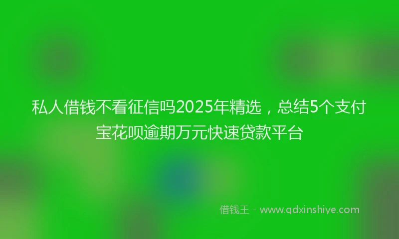 私人借钱不看征信吗2025年精选，总结5个支付宝花呗逾期万元快速贷款平台