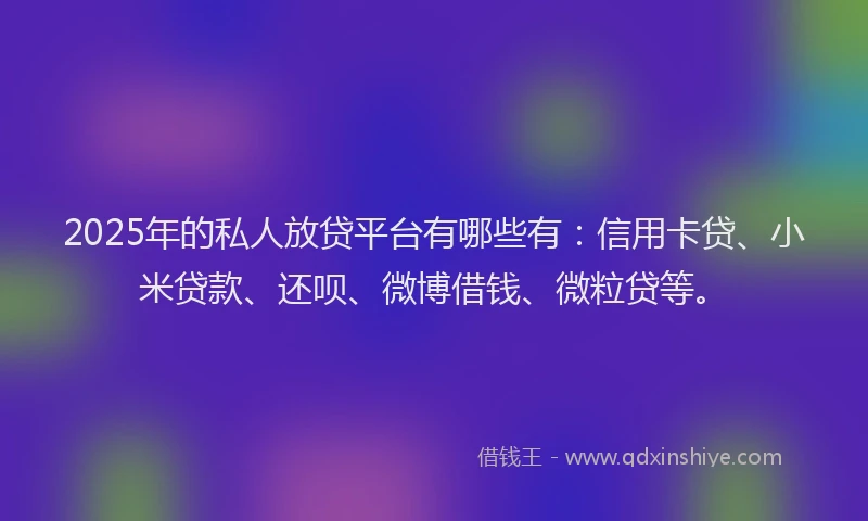 2025年的私人放贷平台有哪些有：信用卡贷、小米贷款、还呗、微博借钱、微粒贷等。