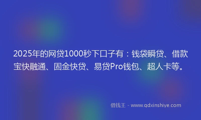 2025年的网贷1000秒下口子有：钱袋瞬贷、借款宝快融通、固金快贷、易贷Pro钱包、超人卡等。