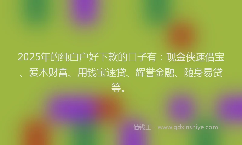 2025年的纯白户好下款的口子有：现金侠速借宝、爱木财富、用钱宝速贷、辉誉金融、随身易贷等。
