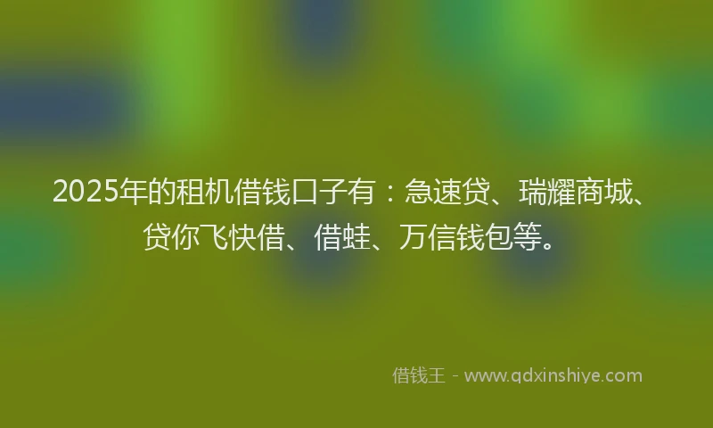 2025年的租机借钱口子有：急速贷、瑞耀商城、贷你飞快借、借蛙、万信钱包等。
