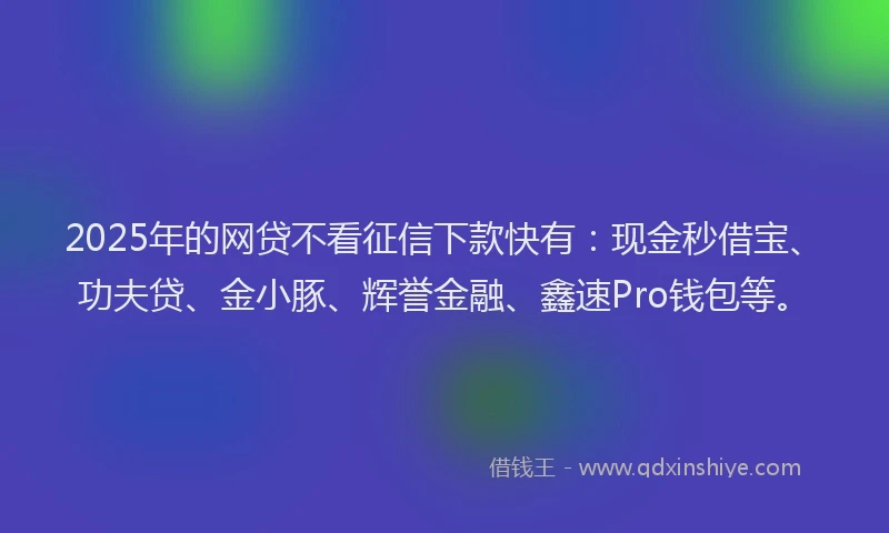 2025年的网贷不看征信下款快有：现金秒借宝、功夫贷、金小豚、辉誉金融、鑫速Pro钱包等。
