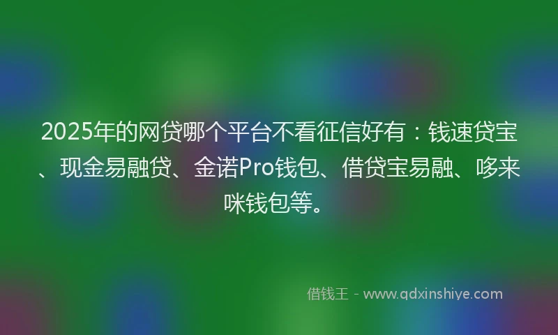 2025年的网贷哪个平台不看征信好有：钱速贷宝、现金易融贷、金诺Pro钱包、借贷宝易融、哆来咪钱包等。