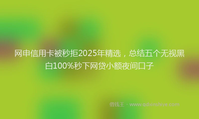 网申信用卡被秒拒2025年精选，总结五个无视黑白100%秒下网贷小额夜间口子