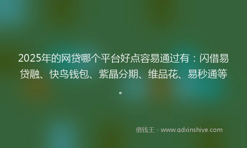 2025年的网贷哪个平台好点容易通过有：闪借易贷融、快鸟钱包、紫晶分期、维品花、易秒通等。
