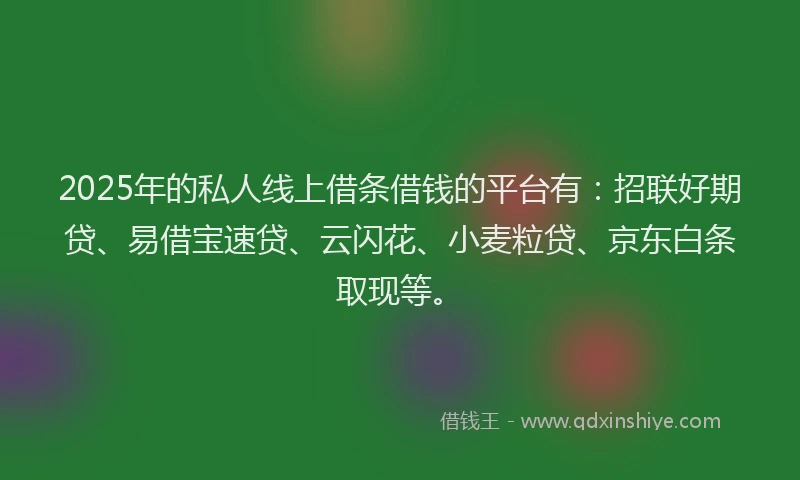2025年的私人线上借条借钱的平台有：招联好期贷、易借宝速贷、云闪花、小麦粒贷、京东白条取现等。