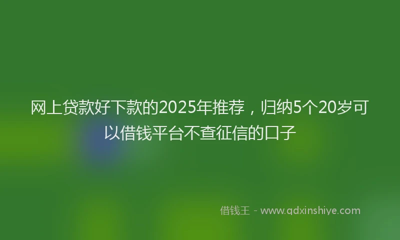 网上贷款好下款的2025年推荐，归纳5个20岁可以借钱平台不查征信的口子