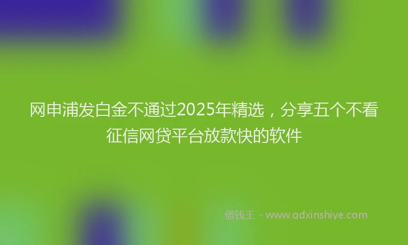 网申浦发白金不通过2025年精选，分享五个不看征信网贷平台放款快的软件