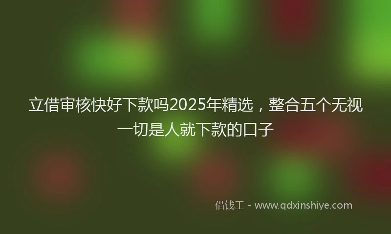 立借审核快好下款吗2025年精选，整合五个无视一切是人就下款的口子