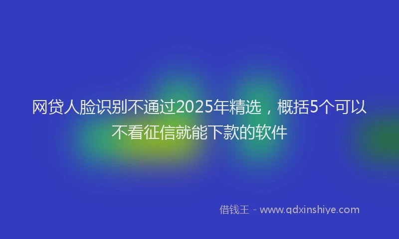 网贷人脸识别不通过2025年精选，概括5个可以不看征信就能下款的软件