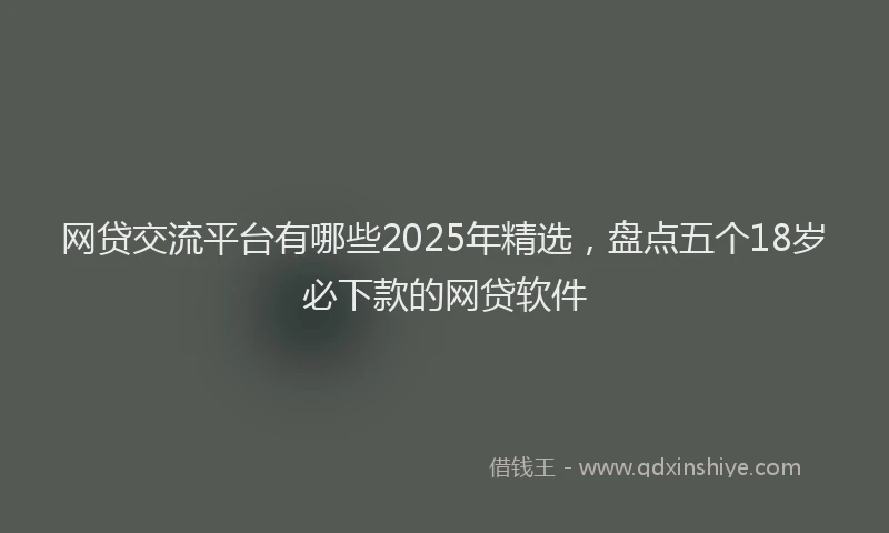 网贷交流平台有哪些2025年精选，盘点五个18岁必下款的网贷软件