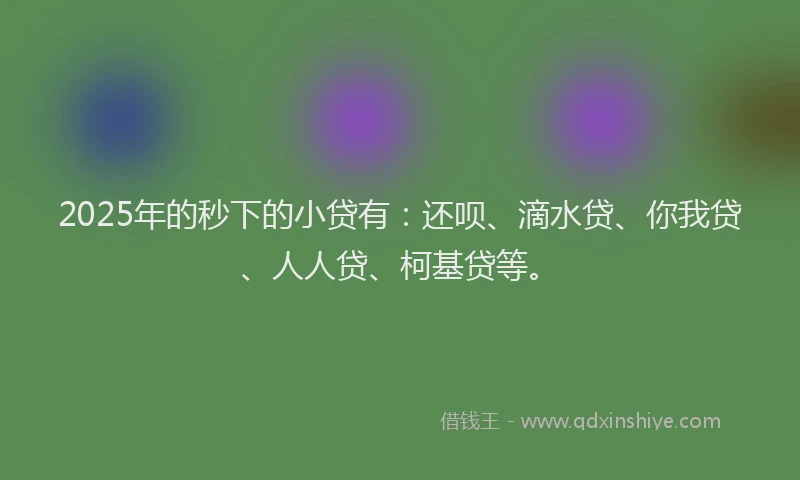 2025年的秒下的小贷有：还呗、滴水贷、你我贷、人人贷、柯基贷等。